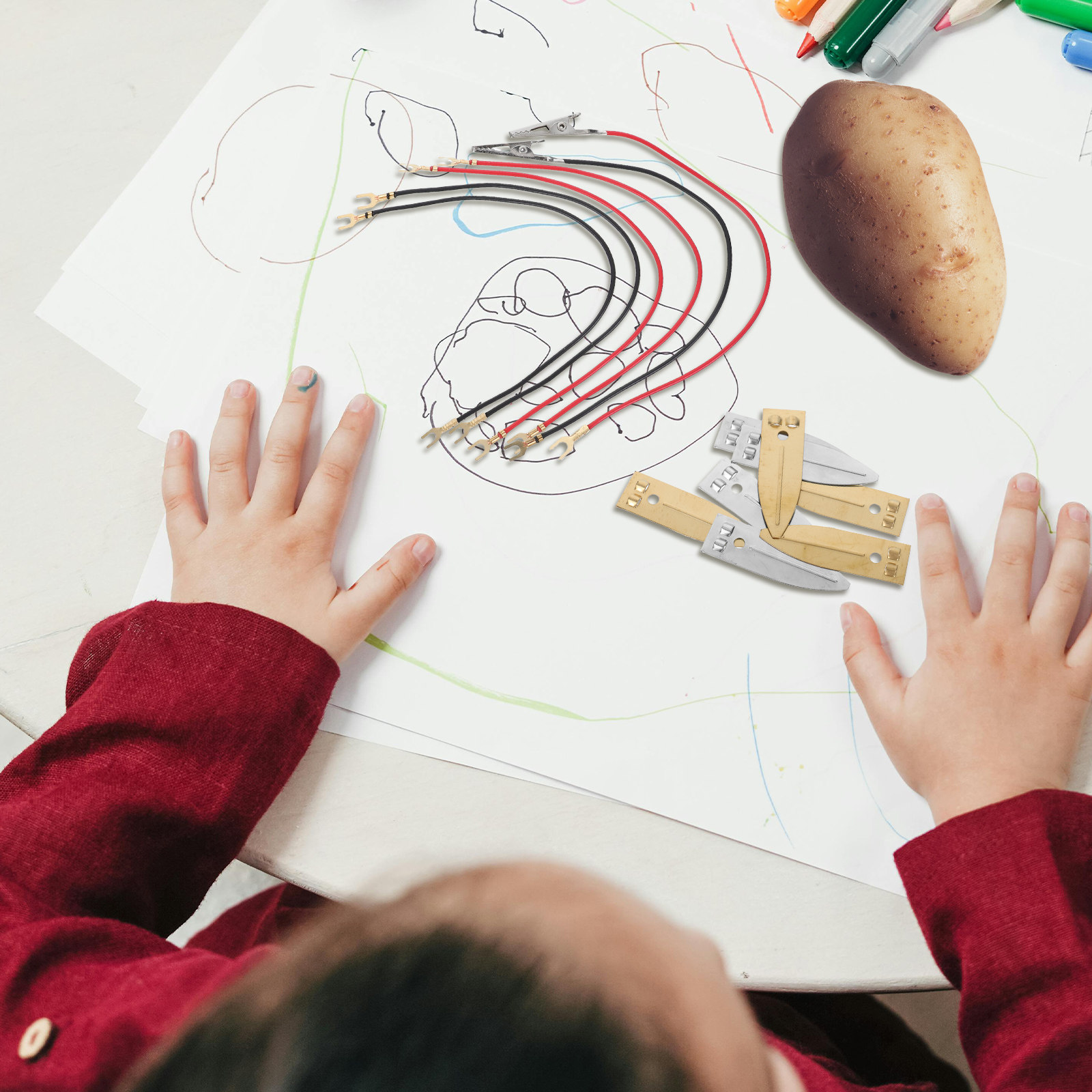 Fruit Battery Light Science Ki - огляд і ціна Renewable Energy Kids Project